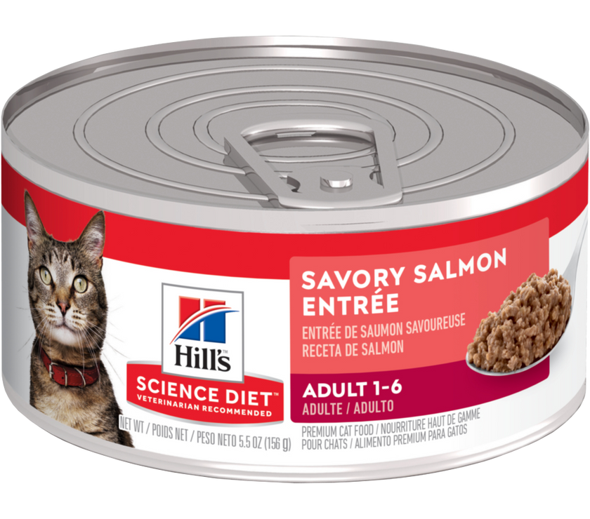 Comida Húmeda Para Gato Hills Salmon 5,5 Onz