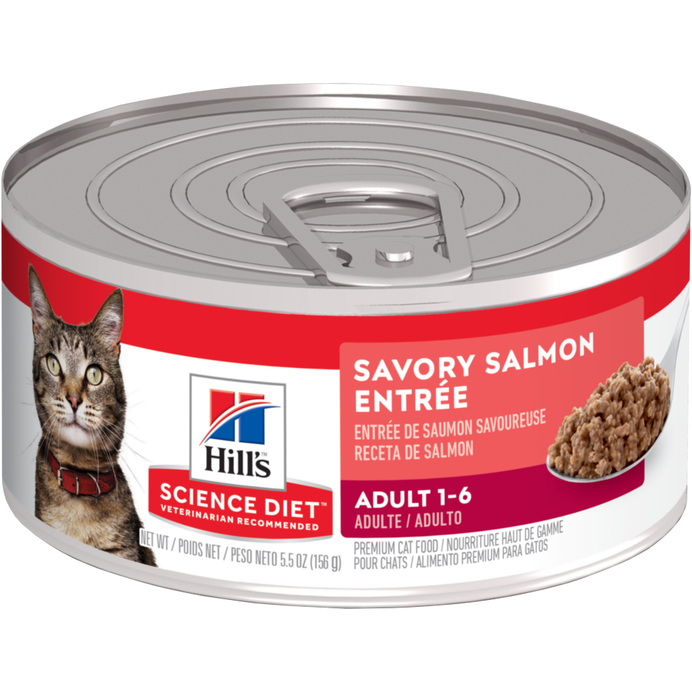 Comida Húmeda Para Gato Hills Salmon 5,5 Onz