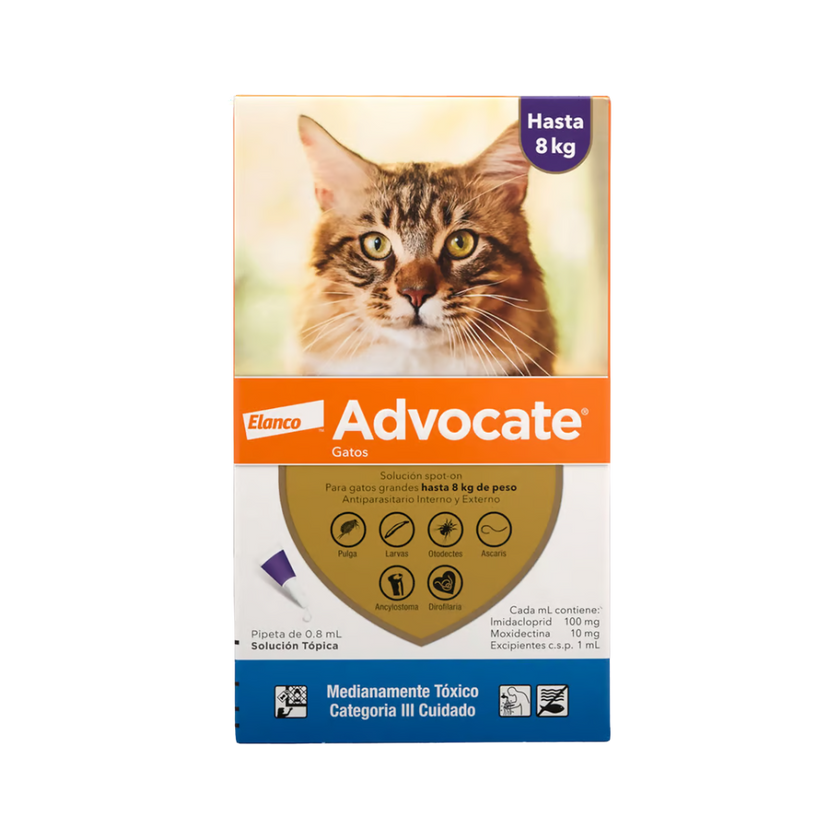 Advocate Gatos