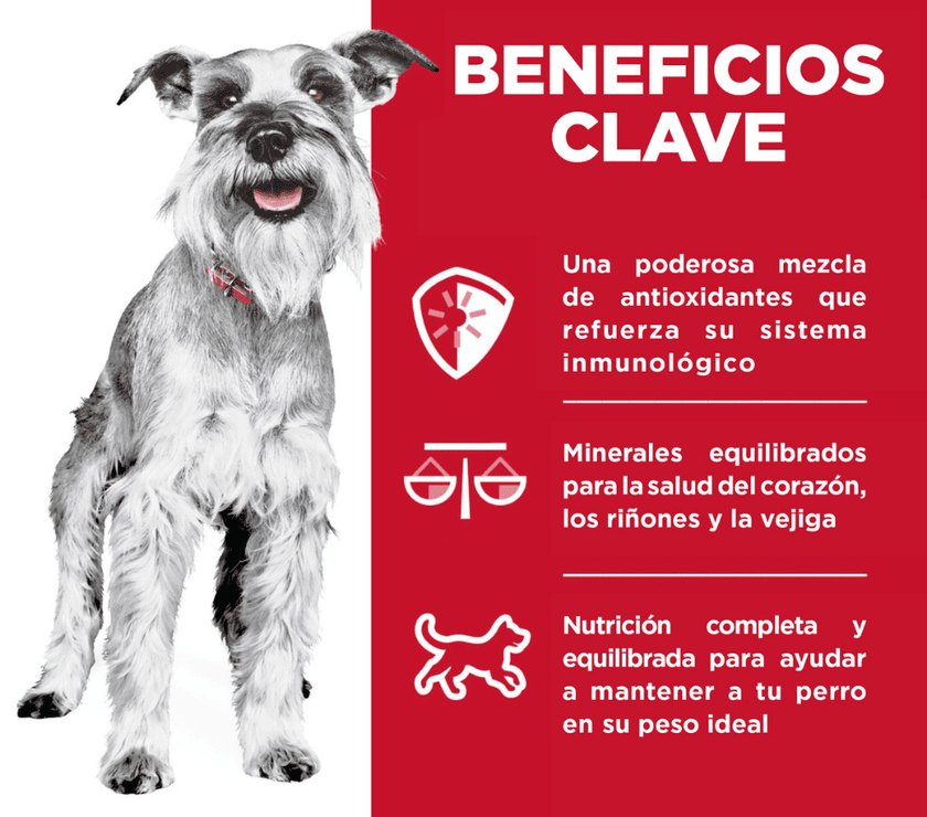 Hill's 7+ alimento húmedo para perro senior raza pequeña sabor pollo 99g