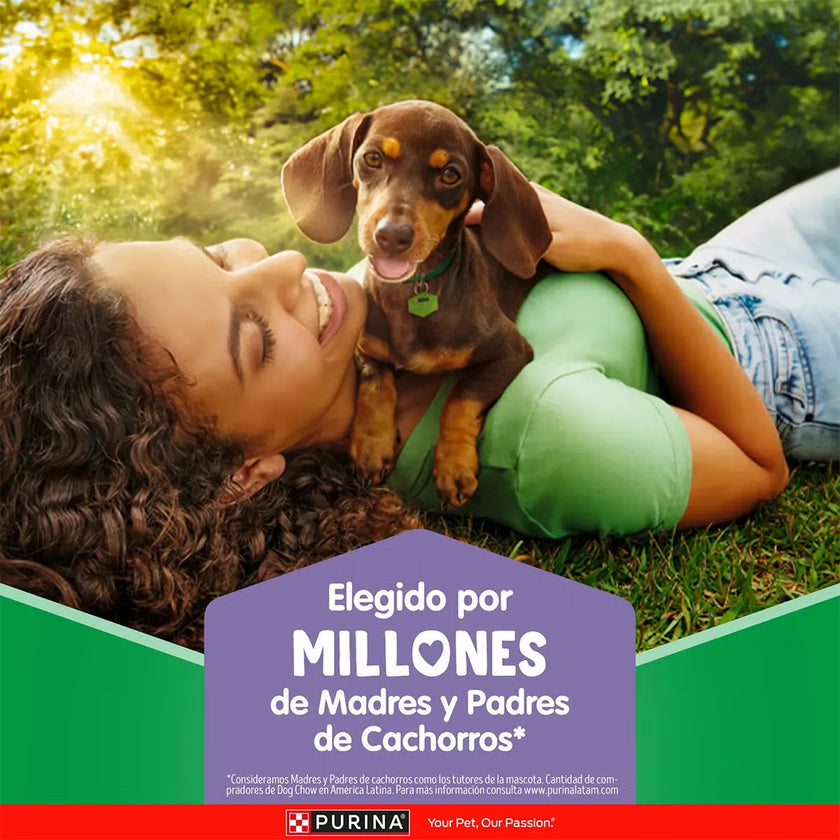 Alimento para perros cachorros DOG CHOW minis y pequeños Extra Life