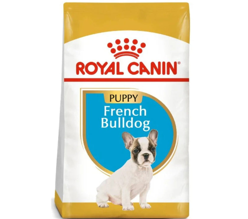 Rc Bulldog Frances Puppy x 3 Kg
