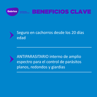 Antiparasitario Interno Total F Perro 15ml