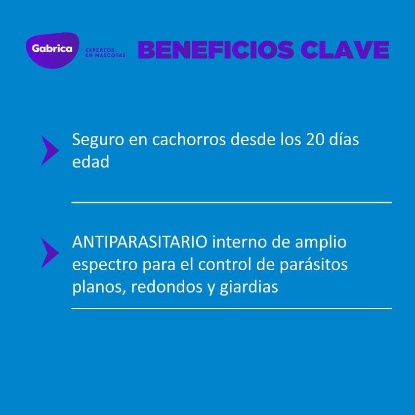 Antiparasitario Interno Total F Perro 15ml