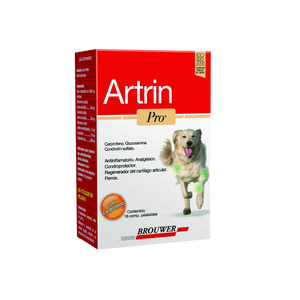 Artrin Pro x 6 Tabletas (Regenerador)