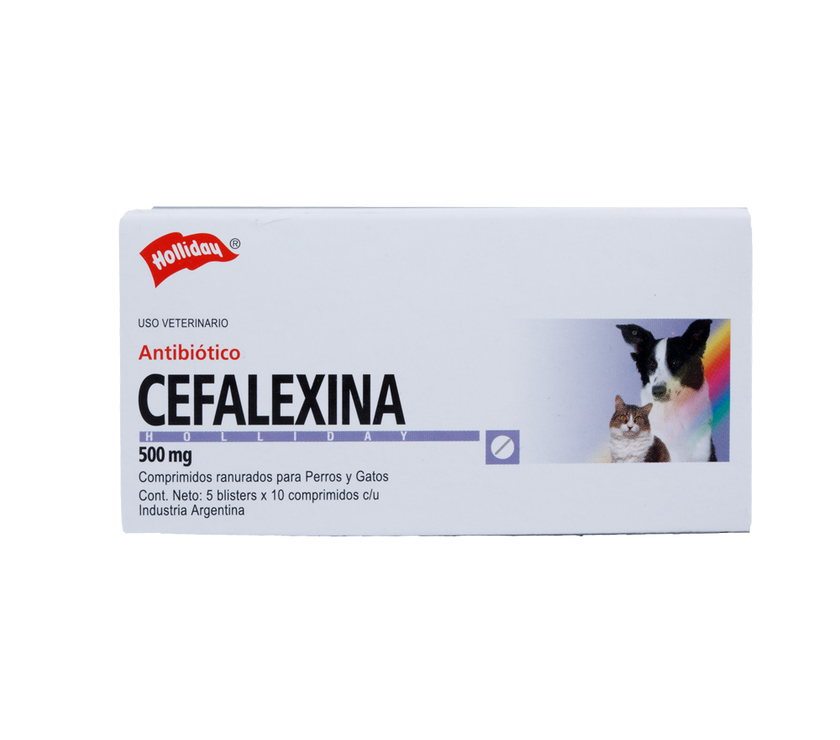 Antibiótico Cefalexina 500mg Blister X 10 Tabletas