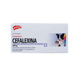 Antibiótico Cefalexina 500mg Blister X 10 Tabletas