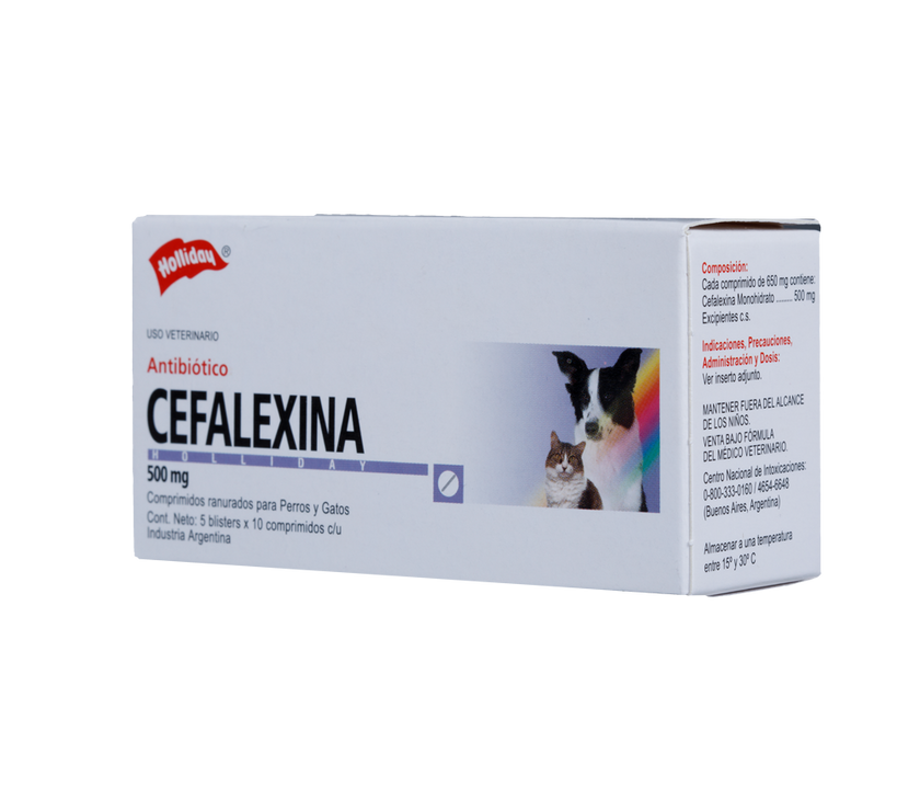 Antibiótico Cefalexina 500mg Blister X 10 Tabletas