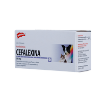 Antibiótico Cefalexina 500mg Blister X 10 Tabletas