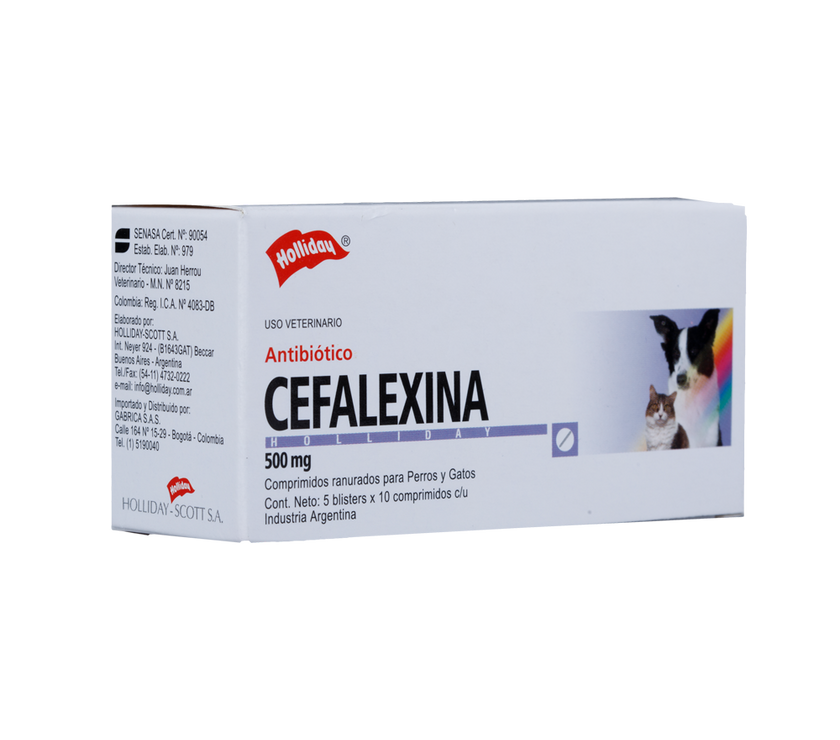 Antibiótico Cefalexina 500mg Blister X 10 Tabletas