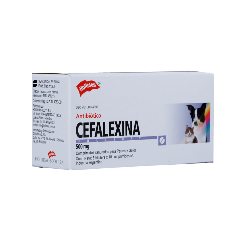 Antibiótico Cefalexina 500mg Blister X 10 Tabletas