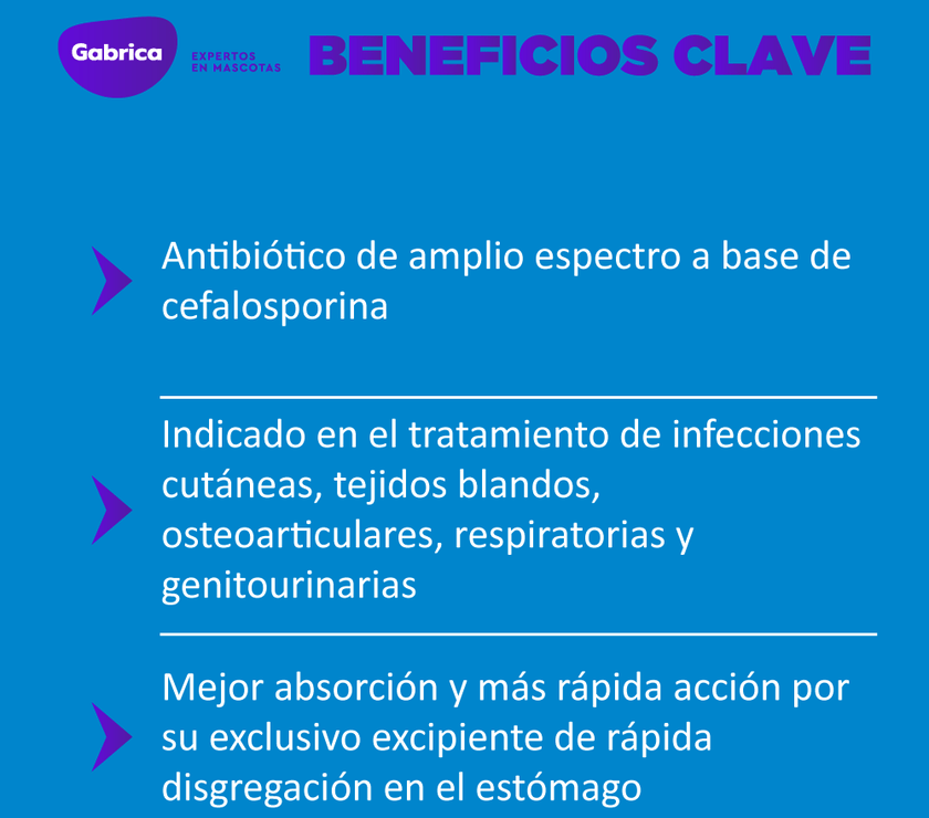 Antibiótico Cefalexina 500mg Blister X 10 Tabletas