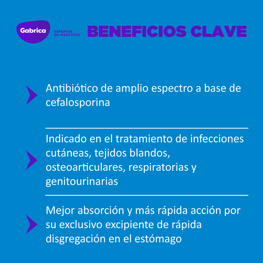 Antibiótico Cefalexina 500mg Blister X 10 Tabletas