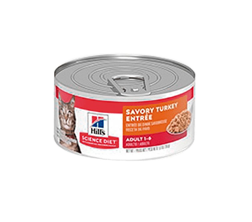 Hill's Science Diet Adult alimento húmedo para gato adulto sabor pavo 5,5 Oz (156g)