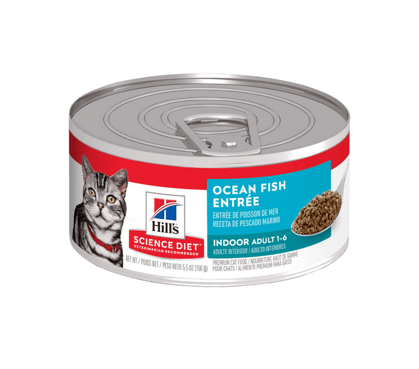 Hill's Indoor alimento húmeda para gato adulto de interiores sabores de mar 5,5 Oz (156g)