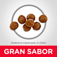 Comida para gatito Hills Kitten Indoor