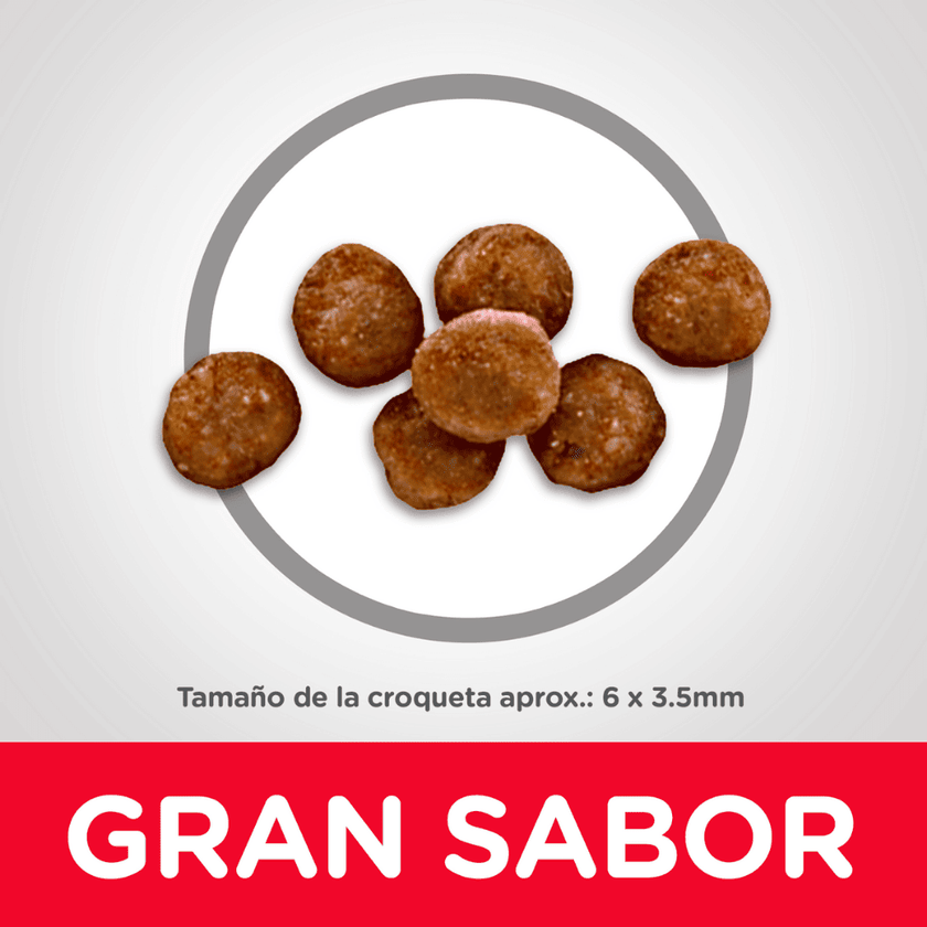 Comida para gatito Hills Kitten Indoor