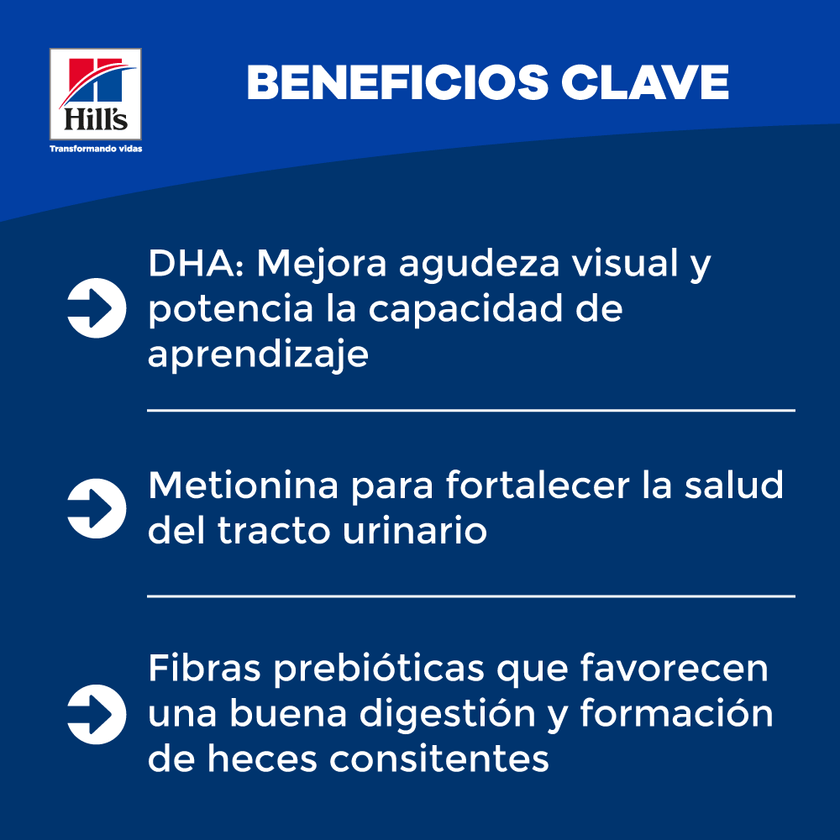 Comida para gatito Hills Kitten Indoor