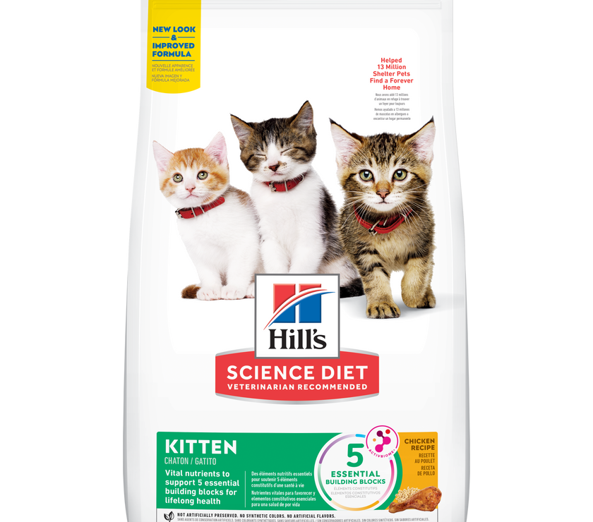 Comida para gatito Hills Kitten