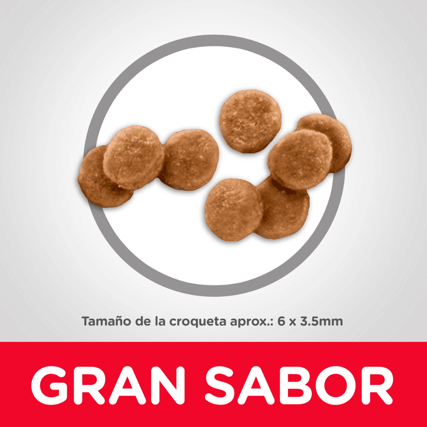 Comida para gatito Hills Kitten