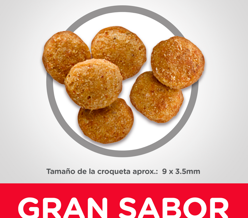 Comida para gato Hills Light Adulto
