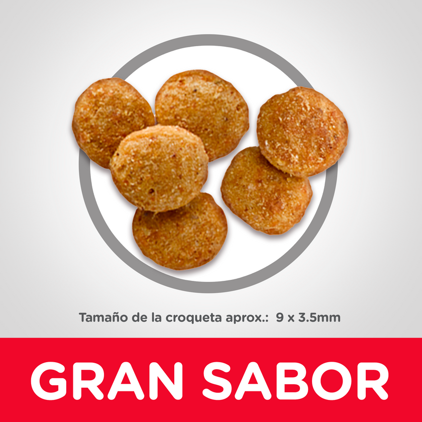 Comida para gato Hills Light Adulto