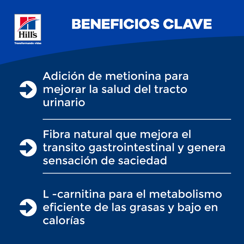 Comida para gato Hills Light Adulto