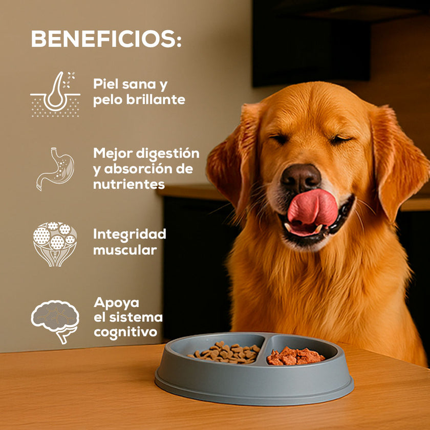Comida para Perro Grandvita adulto 3kg