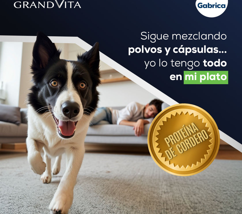 Comida para Perro Grandvita adulto 3kg
