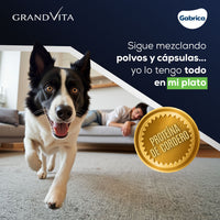 Comida para Perro Grandvita adulto 3kg