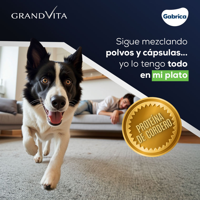 Comida para Perro Grandvita adulto 3kg