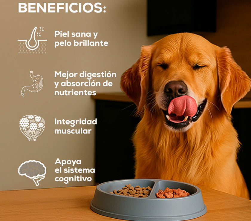 Comida Para Perro Grand Vita Cachorro