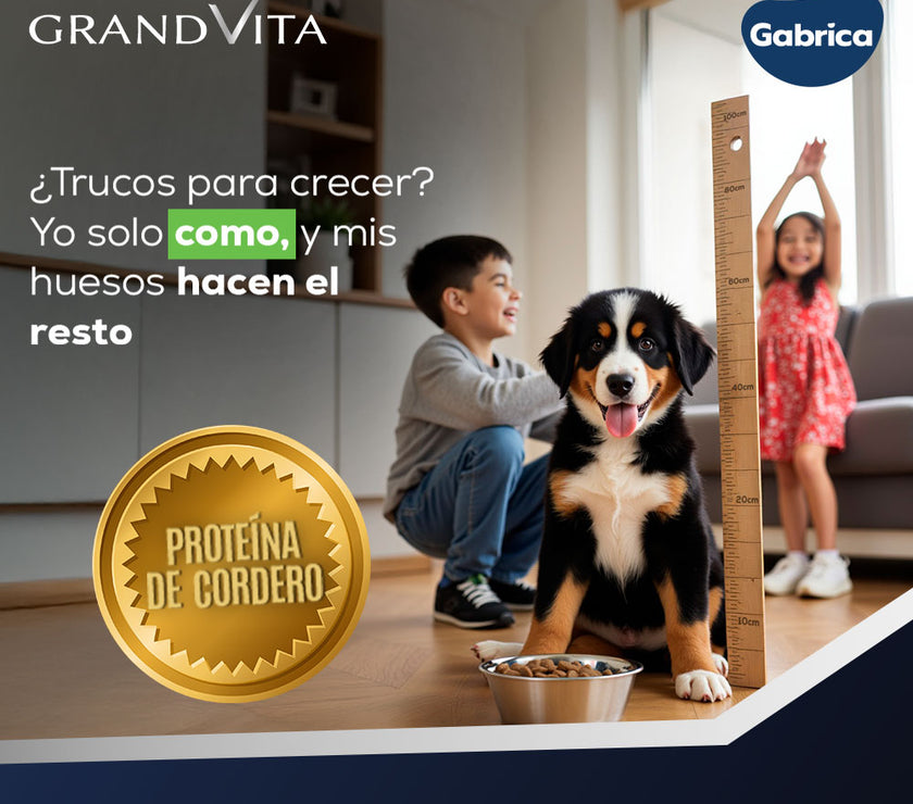 Comida Para Perro Grand Vita Cachorro