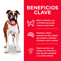 Hill's Science Diet Light comida para perro adulto bajo en calorías 30 Lb (13,6Kg)