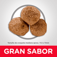 Hill's Science Diet Adult comida para perro adulto sabor cordero 33 Lb (14,9Kg)