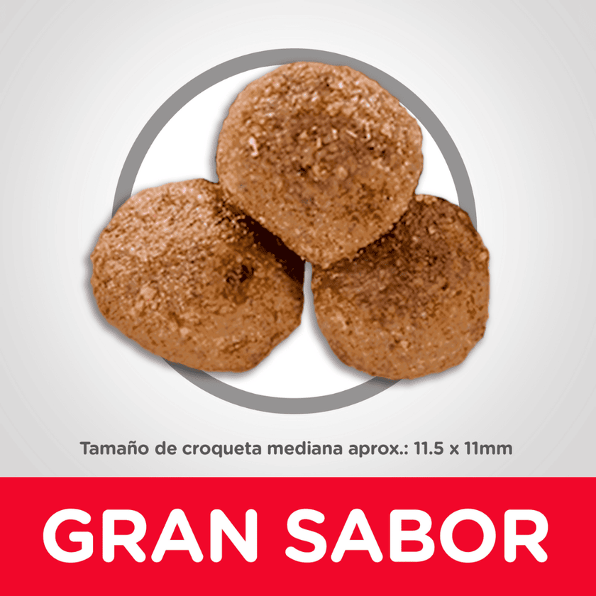 Hill's Science Diet Adult comida para perro adulto sabor cordero 33 Lb (14,9Kg)