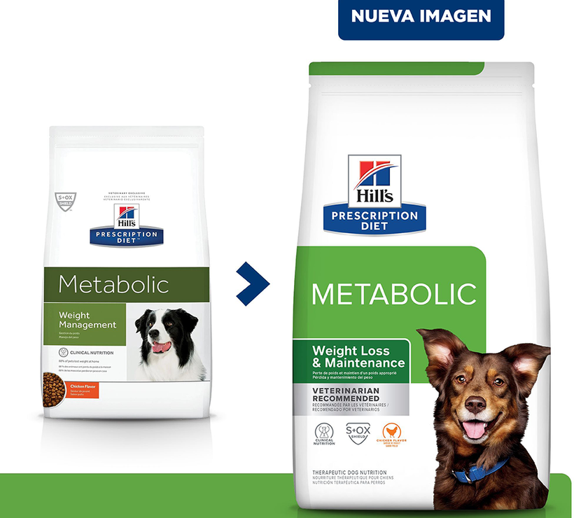 Comida para perro Hills Metabolic