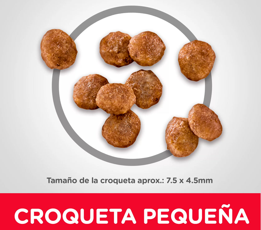 Comida para perros Hills Adulto Razas Miniatura  4,5 Lbs