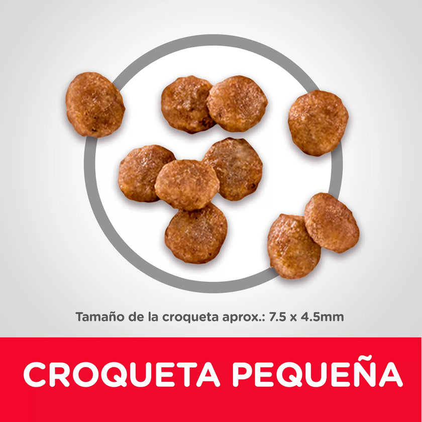 Comida para perros Hills Adulto Razas Miniatura  4,5 Lbs