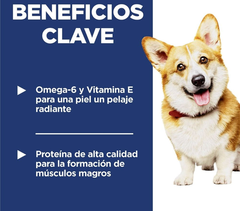 Hill's Science Diet Small Bites comida para perro adulto raza pequeña 15 Lb (6,8Kg)