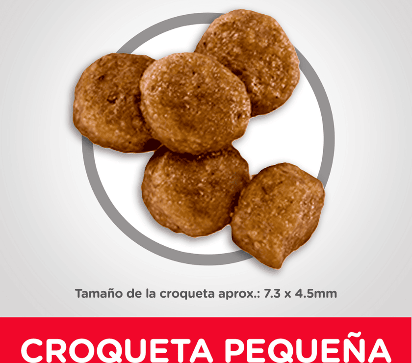 Hill's Science Diet comida para perro cachorro raza pequeña 12,5 Lb (5,6Kg)