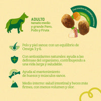 Comida para Perro Naturalis Adulto Raza Mediana Grande Pollo, Pavo y Frutas 2,5 Kg