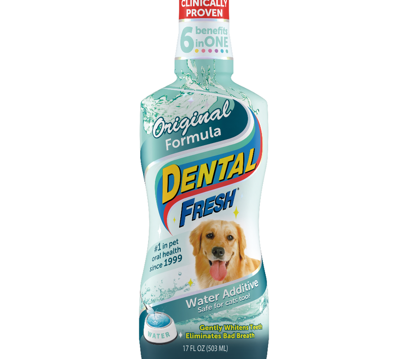Dental Fresh Orig Dog 17 oz