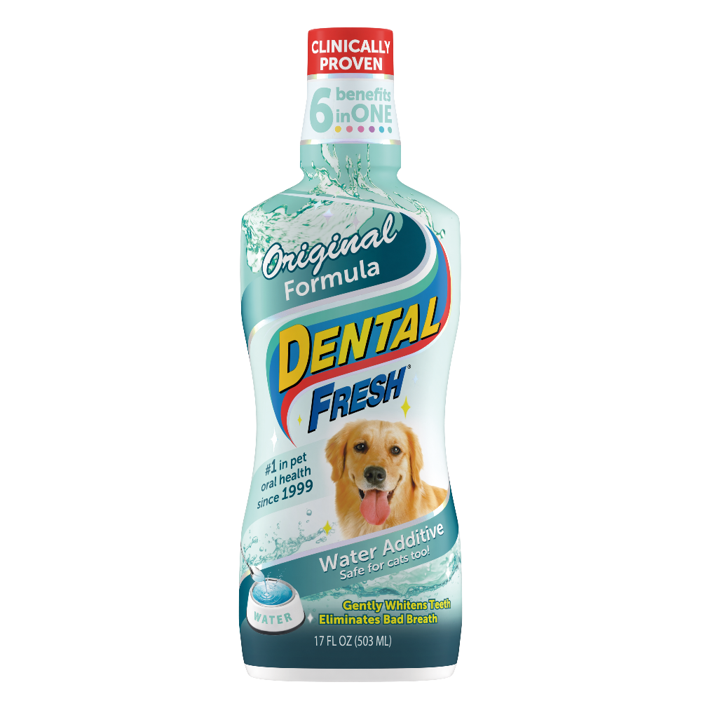 Dental Fresh Orig Dog 17 oz