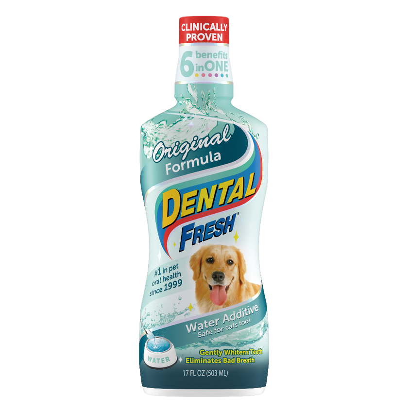 Dental Fresh Orig Dog 17 oz