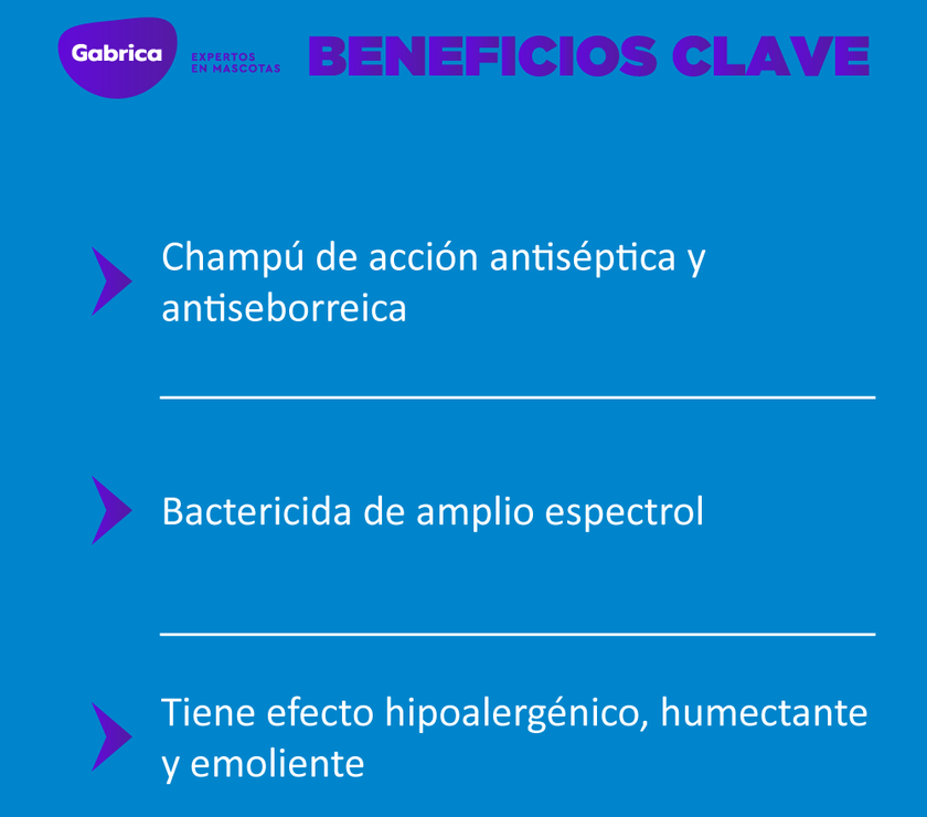 Shampoo Antiséptico Dermoholliday Perros y Gatos 250 Ml