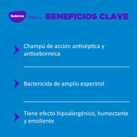 Shampoo Antiséptico Dermoholliday Perros y Gatos 250 Ml