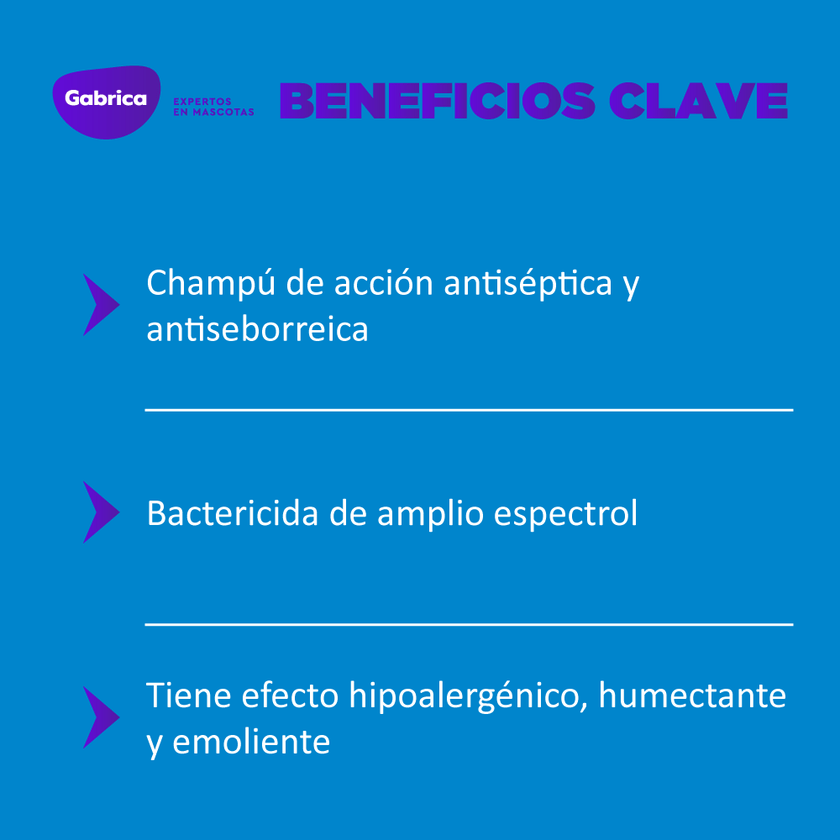 Shampoo Antiséptico Dermoholliday Perros y Gatos 250 Ml