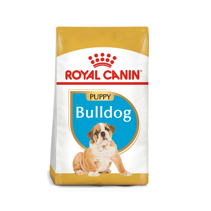 Rc Bulldog Ingles Puppy X 3 Kg