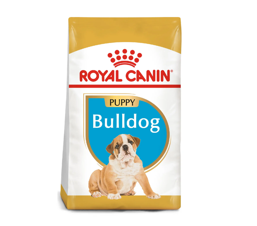 Rc Bulldog Ingles Puppy X 3 Kg